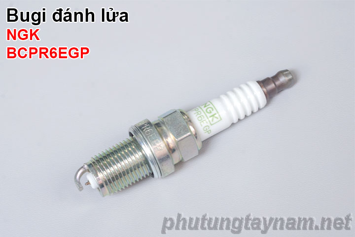 Bugi NGK BCPR6EGP