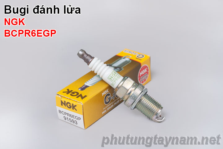 Bugi NGK BCPR6EGP
