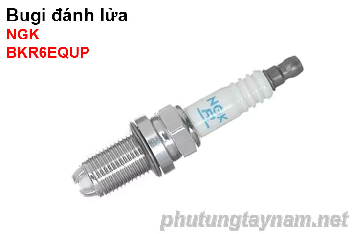 Bugi NGK BKR6EQUP