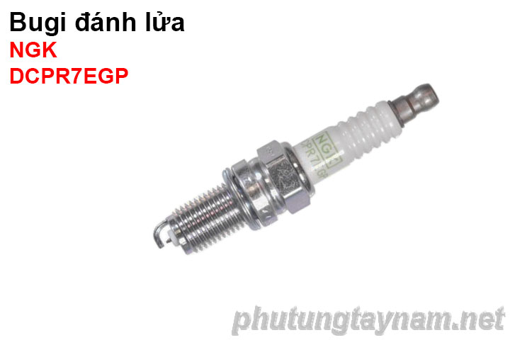 Bugi NGK DCPR7EGP