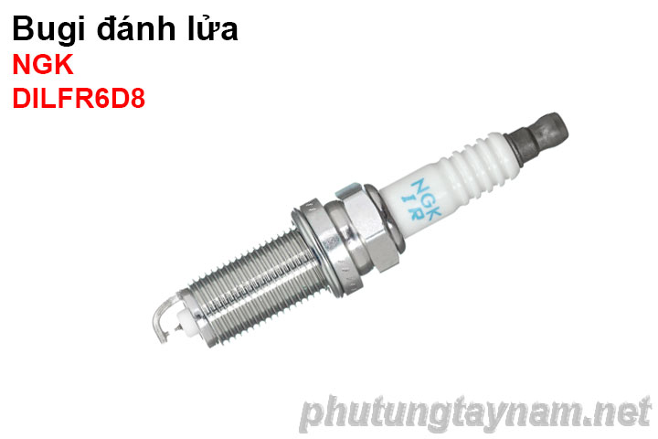 Bugi NGK DILFR6D8