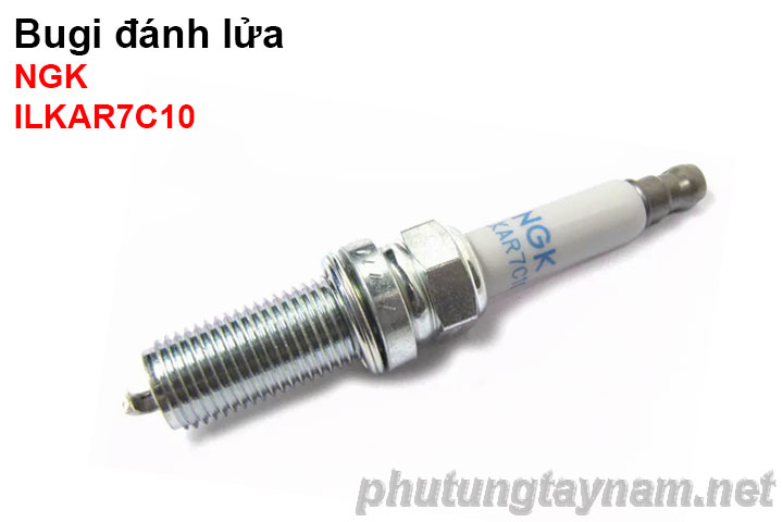 Bugi NGK ILKAR7C10