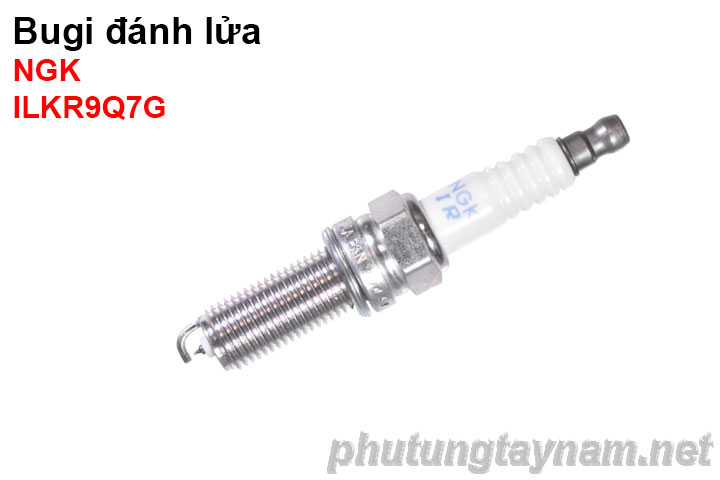 Bugi NGK ILKR9Q7G