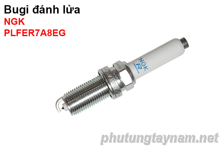 Bugi NGK PLFER7A8EG