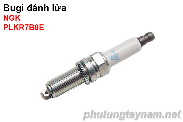 Bugi NGK PLKR7B8E