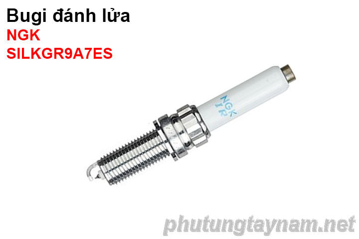 Bugi NGK SILKGR9A7ES