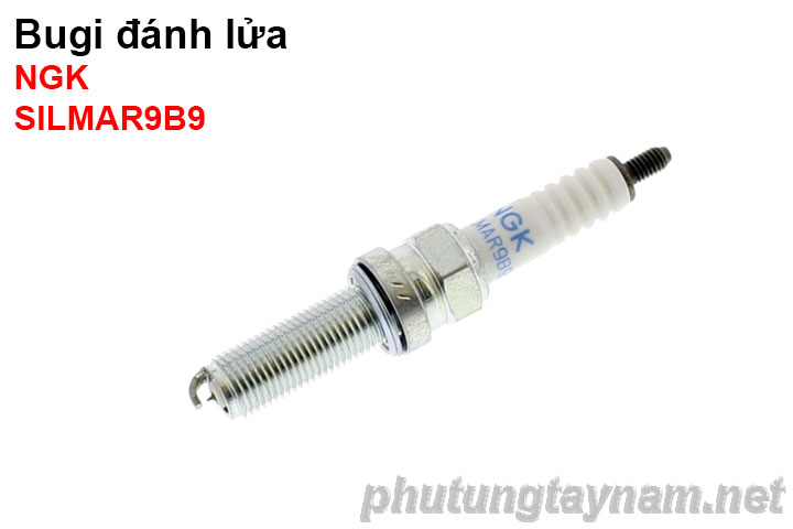 Bugi NGK SILMAR9B9