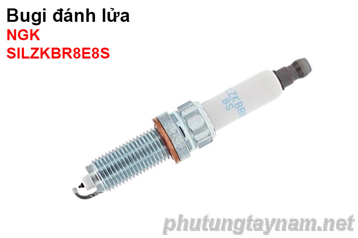 Bugi NGK SILZKBR8D8S
