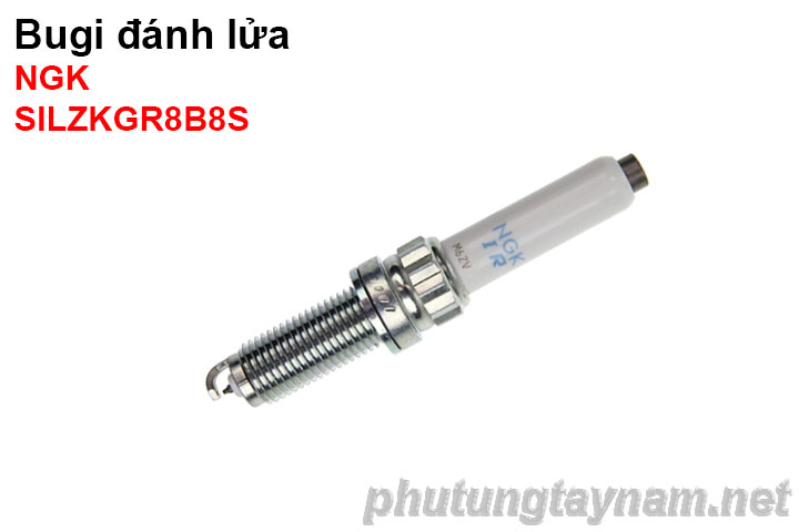 Bugi NGK SILZKGR8B8S