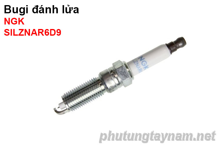 Bugi NGK SILZNAR6D9