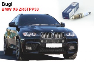 Bugi BMW X6 ZR5TPP33