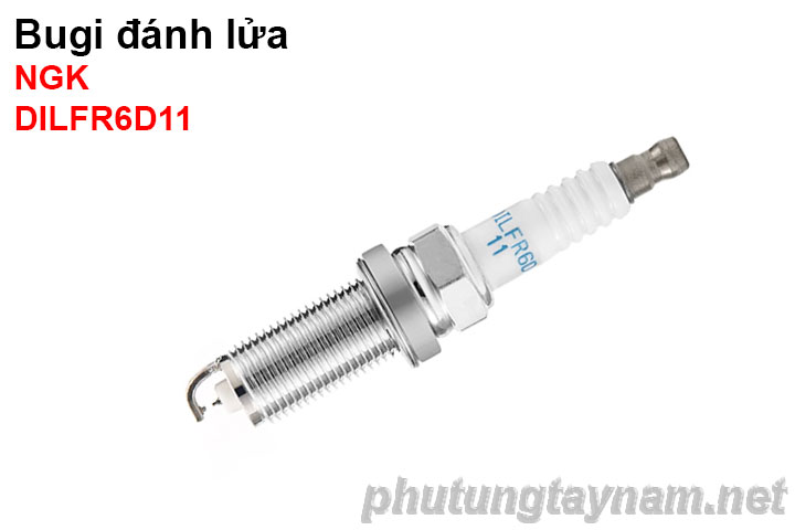 Bugi NGK DILFR6D11