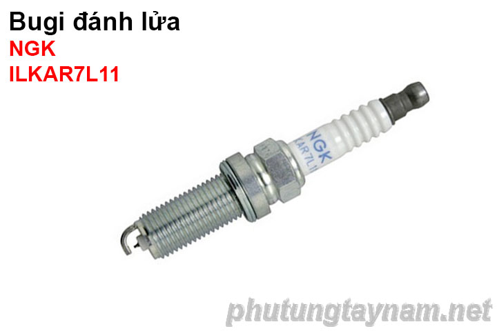 Bugi NGK ILKAR7L11